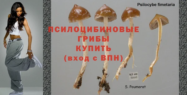 MESCALINE Михайловка