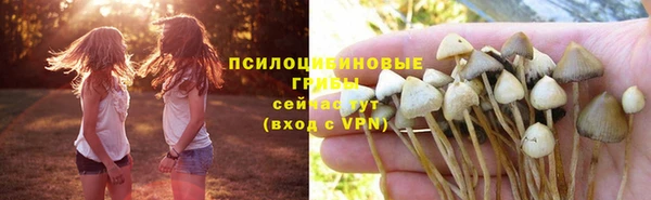 первитин Надым