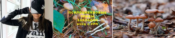 таблы Михайловск