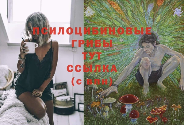 эйфоретик Сосновый Бор