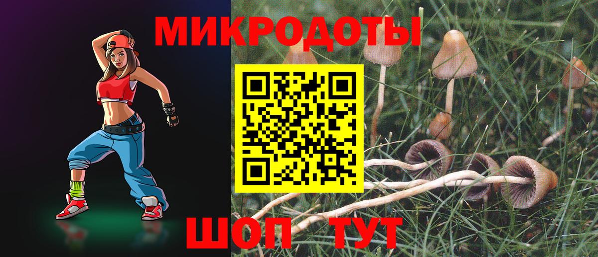 Галлюциногенные грибы MAGIC MUSHROOMS Кубинка